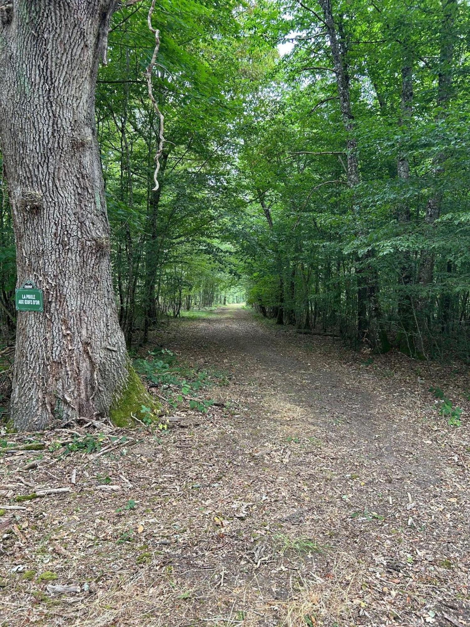 Domaine De Charnay - Charme Et Confort Dans Un Environnement D'Exception В'єрзон Екстер'єр фото