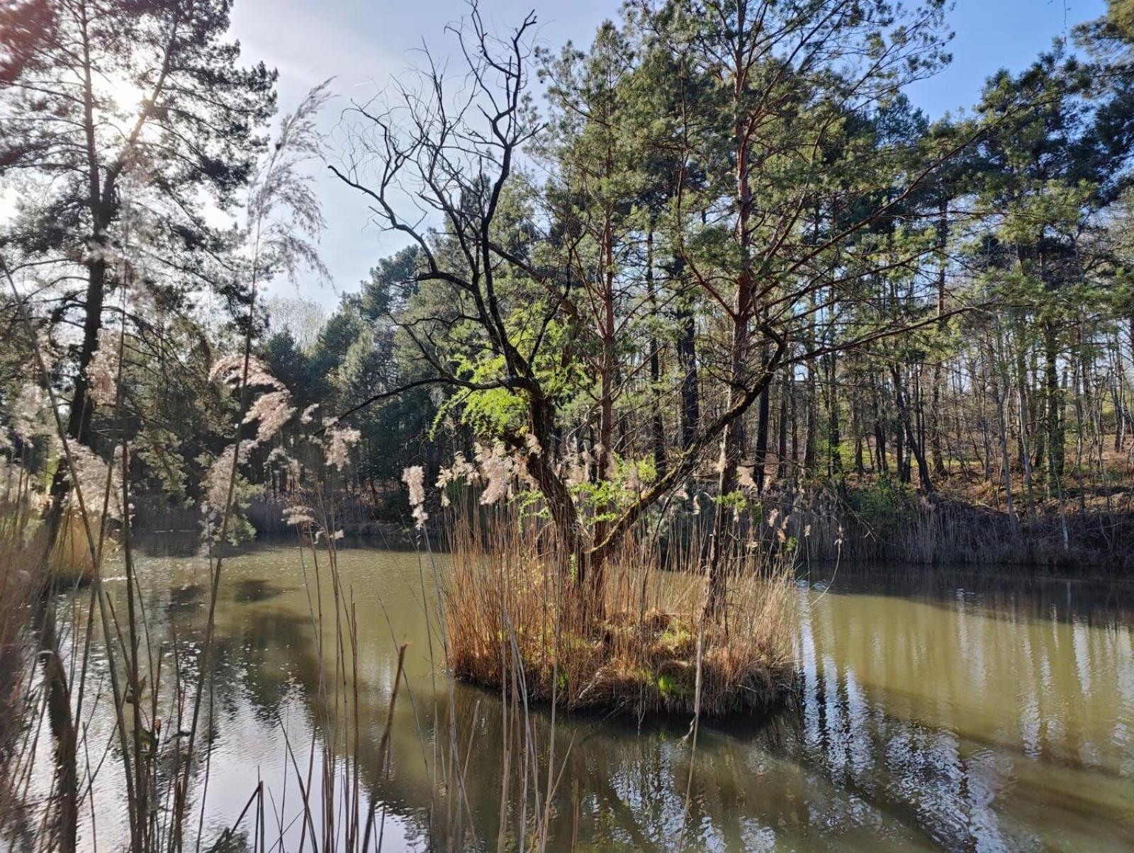 Domaine De Charnay - Charme Et Confort Dans Un Environnement D'Exception В'єрзон Екстер'єр фото